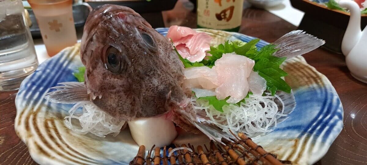 カサゴの姿造り